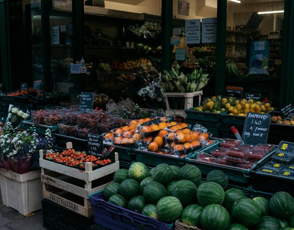 Les rosés biologiques à déguster absolument en 2025