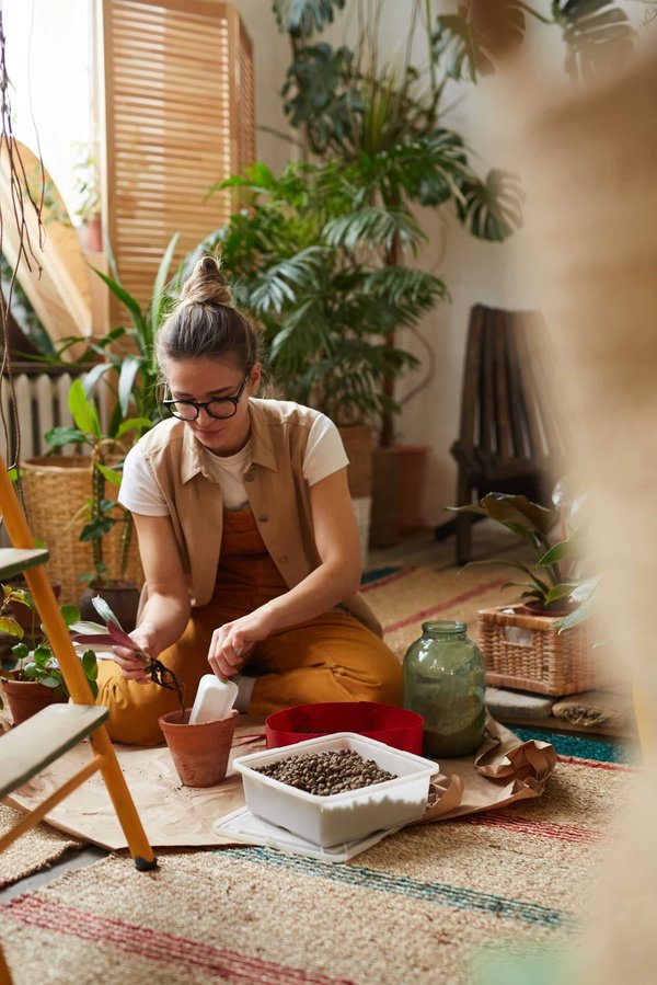 Que savoir sur les Infusions et tisanes ?